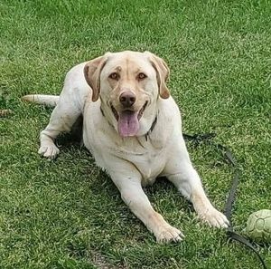 Meet your Posher, Sherry